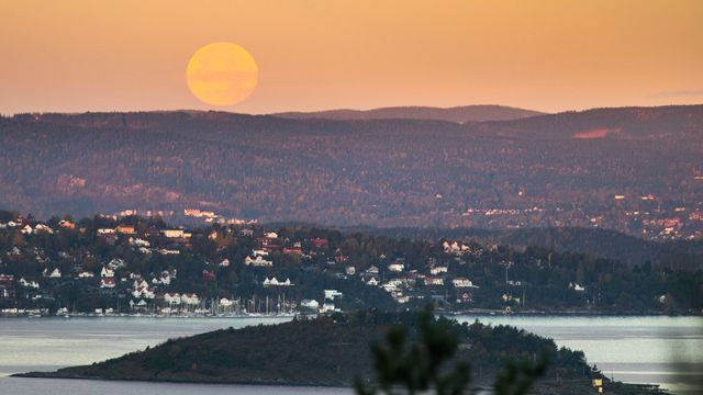 Seks kvinner og sju menn kniver om jobben som leder for utviklings-avdelingen