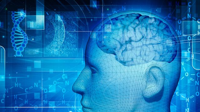 1,4 milliarder fra Forskningsrådet skal gi data om hjernebarkens algoritmer, maskinlæring og digitale historier