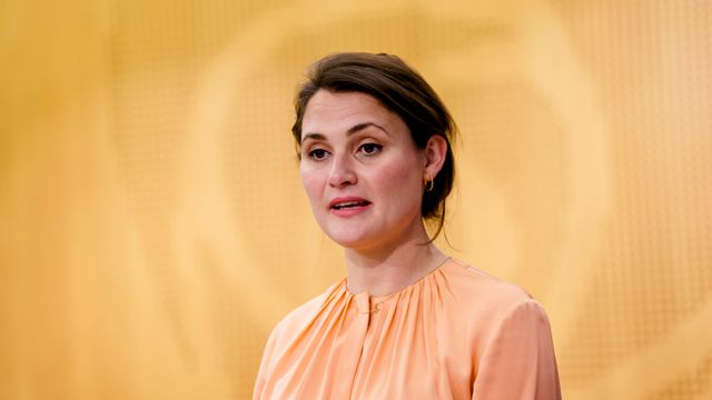 Ap-utvalg vil styrke strømstøtten og droppe nye utenlandsforbindelser