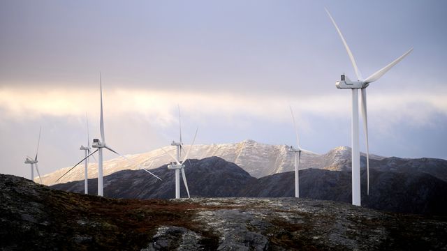 Fosen-vindturbiner har ikke sensorer som plukker opp reinsdyr-bevegelser