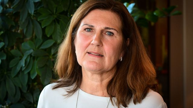 Disse sju har søkt på stillingen som vegdirektør