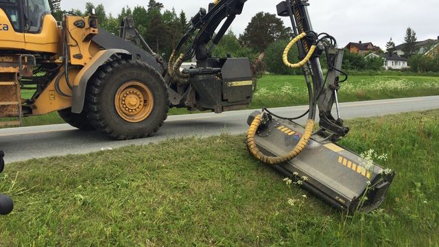 Rettssak om riktig betaling for kantklipp i Ofoten: Svevia tapte mot veieierne