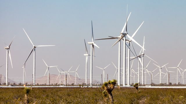 Klimainvesteringsfondet og KLP satser på indisk vindkraft