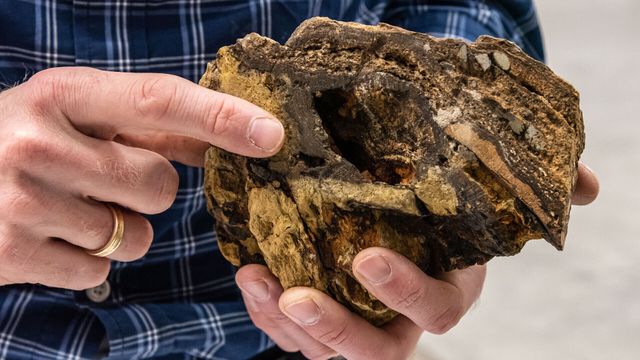 Slike mineralforekomster vil regjeringen få kjapt opp fra havbunnen