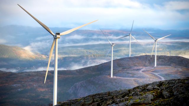 Motvind Norge anmelder vindkraftselskaper på Fosen