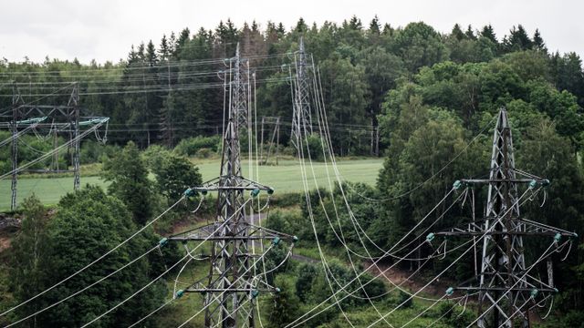 Analytikere venter lavere strømpriser til høsten enn i fjor