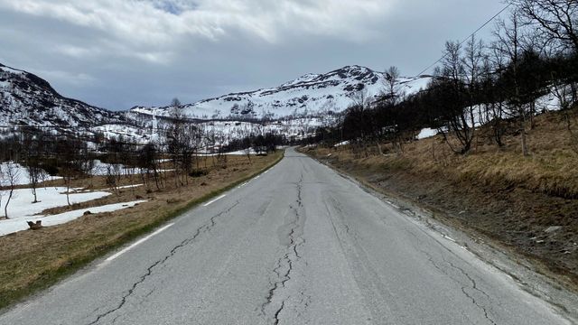 Fem tilbydere for vedlikehold av riksveger i Trøndelag
