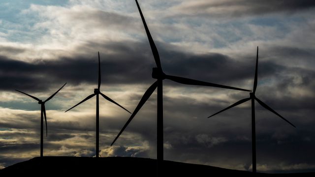 Halvparten av velgerne i Vestland sier nei til vindkraft