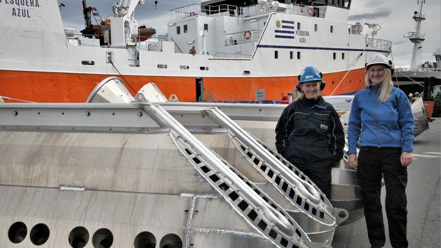 Forsøk med anti-hvaltønne ga lovende resultater