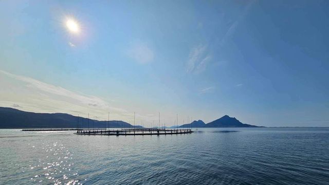 Den første merden av resirkulert plast er sjøsatt