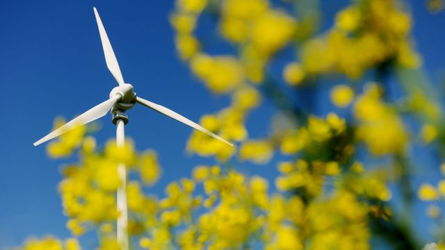 Feil at finsk vindturbin slipper ut tonnevis med mikroplast