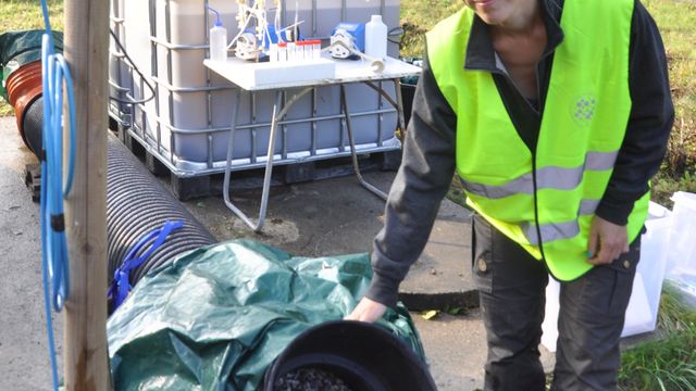 Tester gråor og skjellsand som rensefilter for vaskevann fra veitunneler