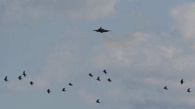 Fire norske jagerfly har styrtet etter fuglekollisjon