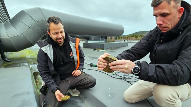 Skulle prosjektere solceller – oppdaget at taket var fullt av vann