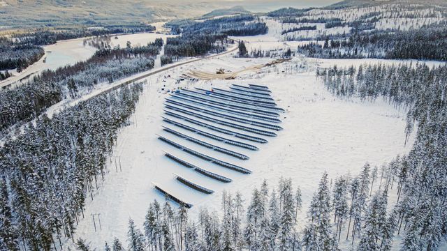 Norges første solcellepark er koblet på strømnettet, men produserer foreløpig «forsvinnende lite»