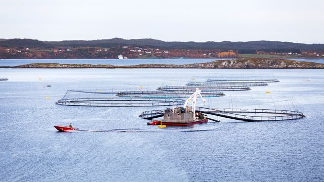 Norge gir én milliard til fiskeriforvaltningsprogram