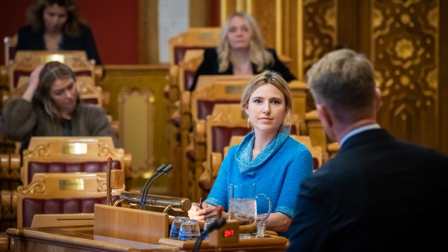 Rødt ber Aasland svare Stortinget om danske kraftkabler