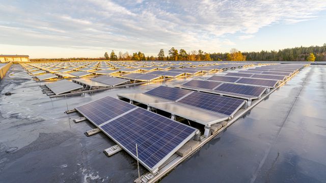Rystad Energy: Folk har ikke tatt inn potensialet til solkraft