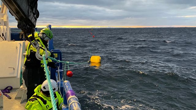 Måtte nedskalere tareanlegg for CO2-fangst