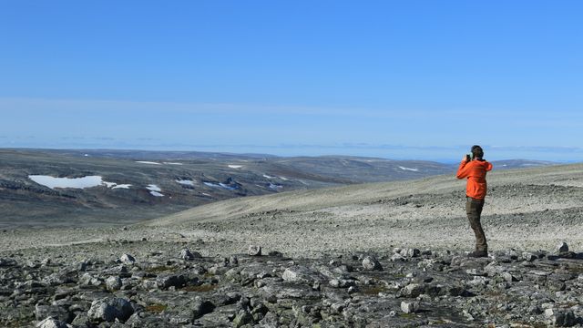 Disse vindkraftverkene sendes på høring i Finnmark
