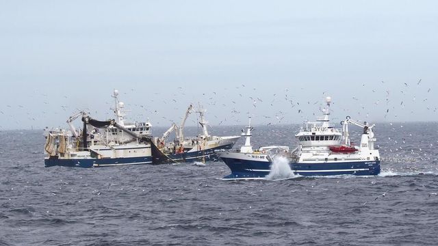 UiB-studie: Brexit førte til at utslippene fra den norske makrellflåten doblet seg