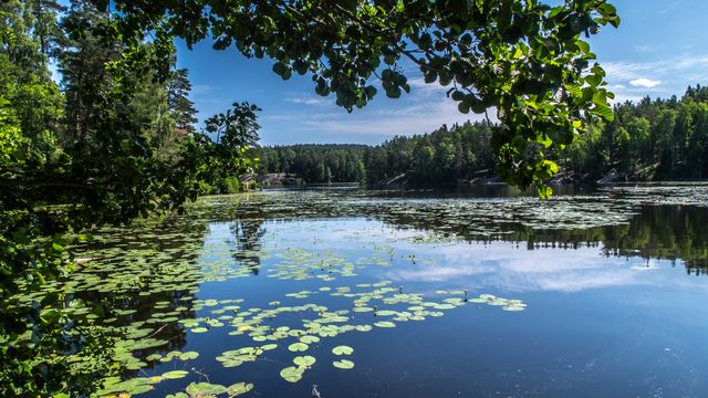 I dag åpner Norges mest storbynære nasjonalpark
