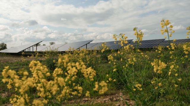 Equinor starter produksjon fra sin tredje solpark i Polen