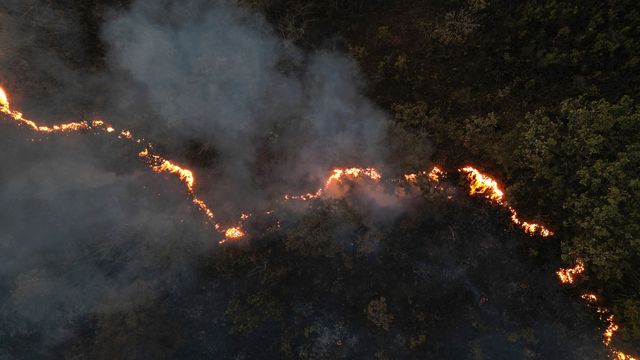 Fra flom til skogbranner – Brasil hardt rammet av klimaendringer