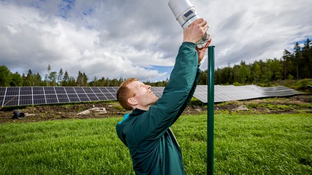 Vil unngå nytt vindkraft-bråk: Erlend (28) forsker på hvordan solparker påvirker norsk natur