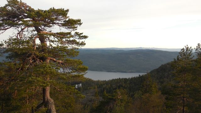 Her kommer Forsvarets nye radar på Østlandet