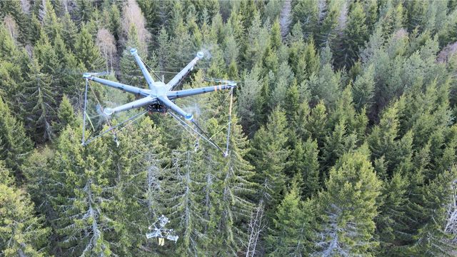 Tømmerhoggerdronen kan bli like effektiv som en hogstmaskin