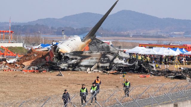 Det er funnet fuglefjær i begge motorene etter flyulykken i Sør-Korea