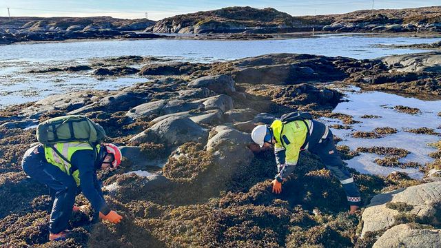 Njord-etterforskningen: Jobber med å slå fast om forurensingen er straffbar