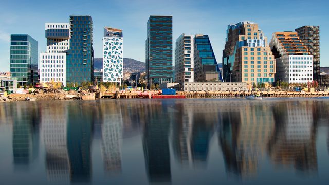 Ekskluderte halvparten av konsulenthusene