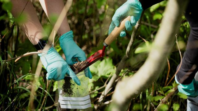 Løsningen på plastproblemet kan ligge henslengt i naturen