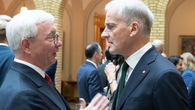 Gode IT-løsninger blir ikke rullet ut. Han peker på Støre