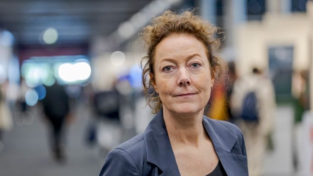 Skygard-sjefen ber om fortgang i Nasjonal sky-prosjektet