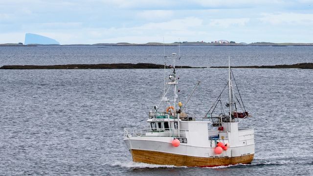 Fiskeridirektoratet: Nå starter rydding av tapte fiskeredskaper langs norskekysten