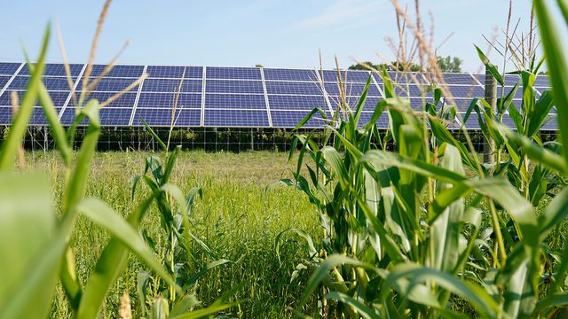 USA kutter milliardstøtte til solenergi