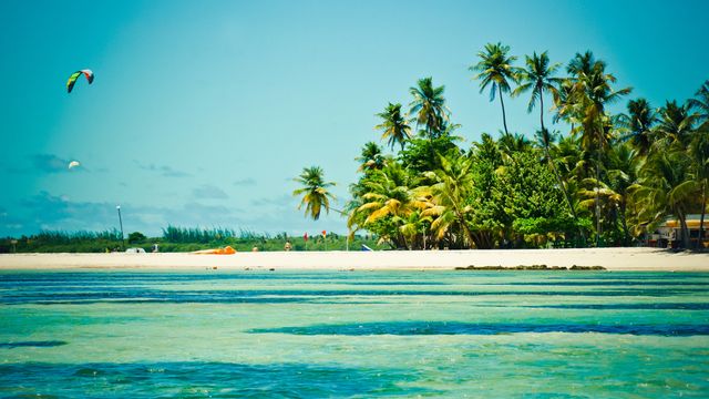 Her kommer en fjerdedel av inntektene fra domene-salg