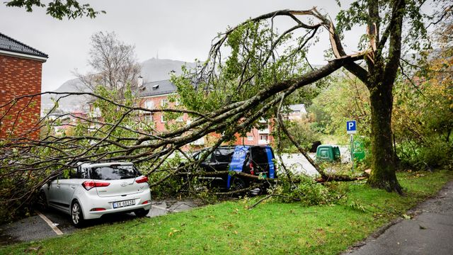 Det er stille i orkanens øye. Takket være Telenor og co