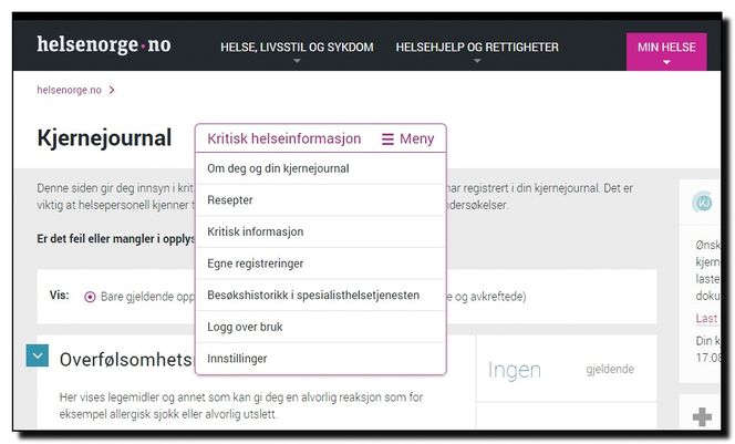 Kjernejournalen bygges opp av informasjon som både helsepersonell og pasienten selv kan legge inn. Bilde: Skjermbilde