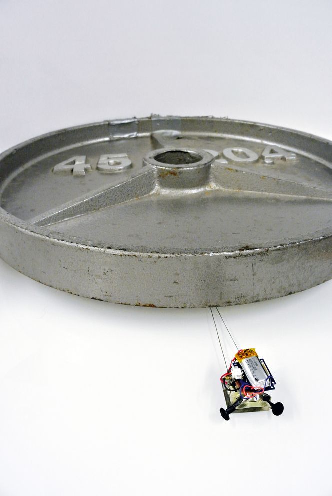 Robotene kan trekke opptil 2000 ganger sin egen vekt på en vannrett flate. Foto: Biomimetics and Dexterous Manipulation Lab/Stanford University