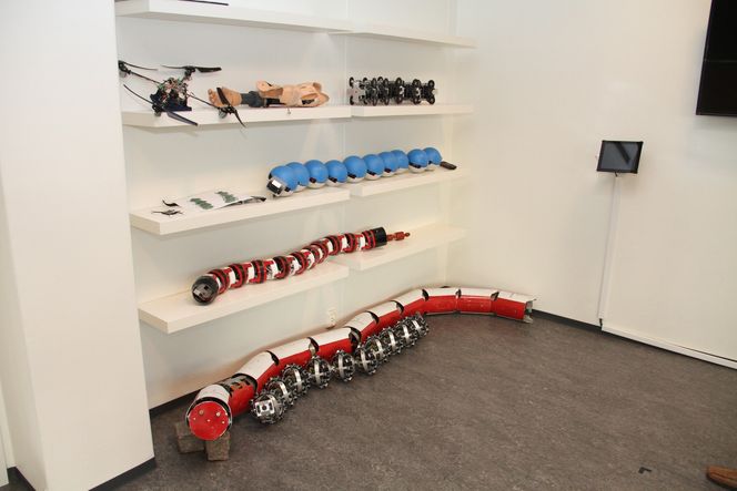 Pent stablet ligger et utvalg slangeroboter på NTNUs slangerobotlaboratorium.