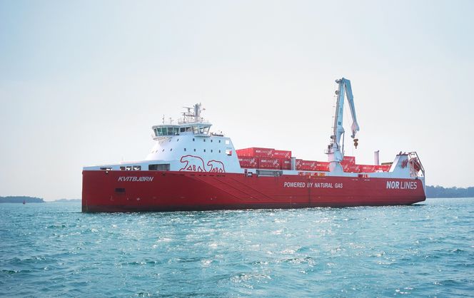 Kvitbjørn skal gå mellom norske havner og Europa.