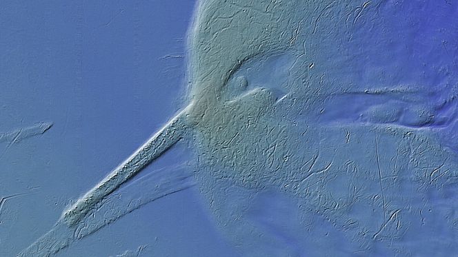 Sjømålingsdata kan brukes til blant annet 3D-visualisering av landskapet på havbunnen. Bilde: Kartverket