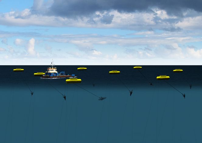 Undervannsdragene er festet til havbunnen med vaiere.