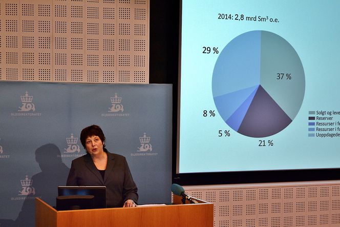 Oljedirektør Bente Nyland.