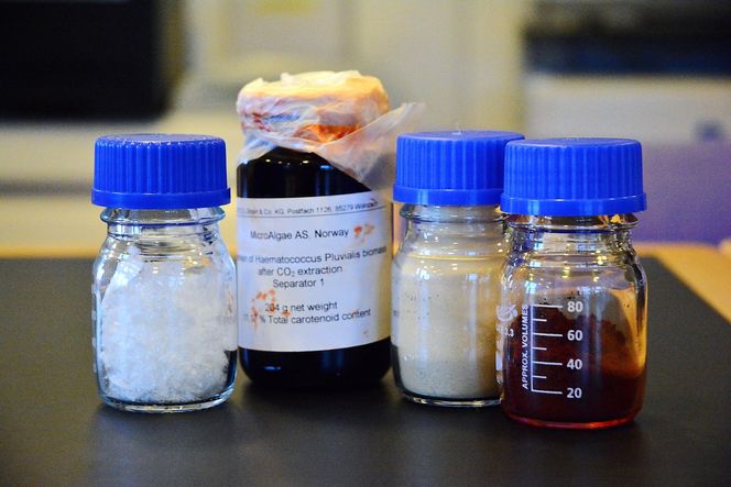 MicroA jobber foreløpig med to ulike alger. Det røde pulvere i glasset til høyre er det første som blir klart til å kommersialiseres. I tillegg jobber de med muligheten til å bruke cellerestene og oljen fra den samme algen til andre produkter. Glasset helt til venstre inneholder en gel som produseres av den andre algen.