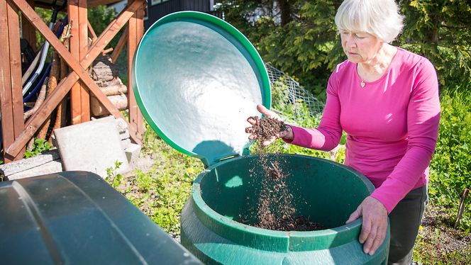 Gundersen komposterer alt organisk materiale og bruker jorda til å dyrke grønnsaker og frukt. Foto: Eirik Helland Urke